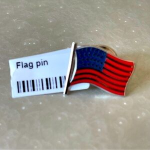 Sterling silver 925 Enameled Flag Pin